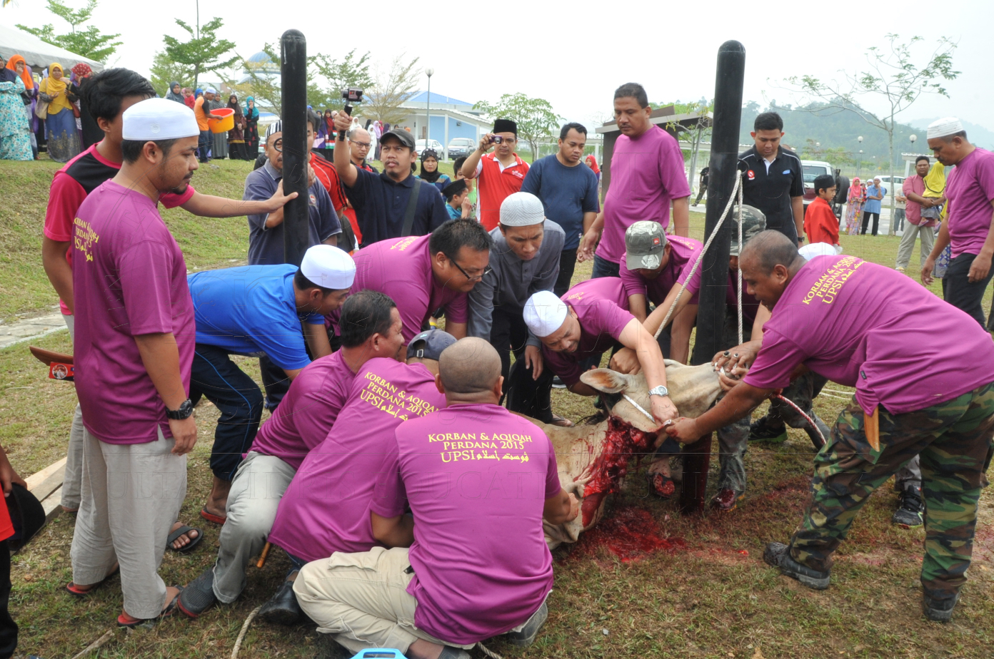 PRO15 150 KORBAN HAS 6715